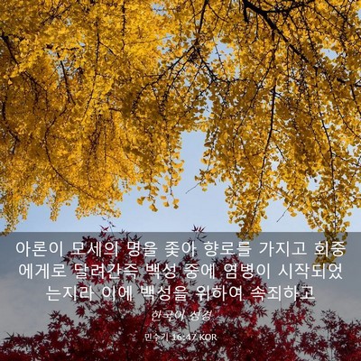 Picture 03 - 민수기 16:47 KOR - 아론이 모세의 명을 좇아 향로를 - Bible Verse Picture
