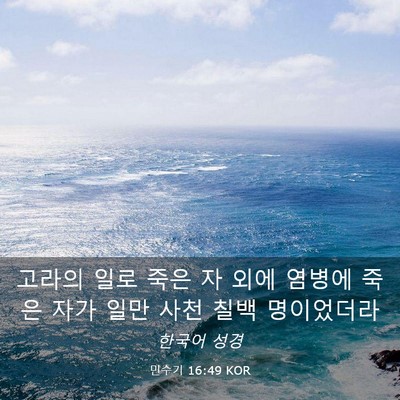 Picture 03 - 민수기 16:49 KOR - 고라의 일로 죽은 자 외에 염병에 - Bible Verse Picture