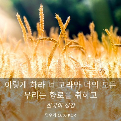 Picture 03 - 민수기 16:6 KOR - 이렇게 하라 너 고라와 너의 모든 - Bible Verse Picture