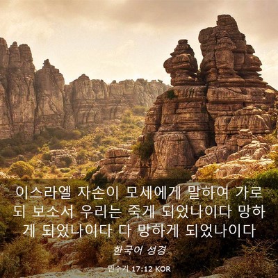 Picture 03 - 민수기 17:12 KOR - 이스라엘 자손이 모세에게 말하여 - Bible Verse Picture