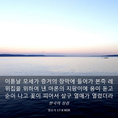 Picture 03 - 민수기 17:8 KOR - 이튿날 모세가 증거의 장막에 들어가 - Bible Verse Picture