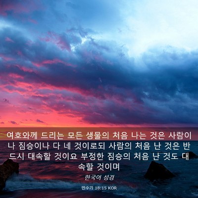 Picture 03 - 민수기 18:15 KOR - 여호와께 드리는 모든 생물의 처음 - Bible Verse Picture