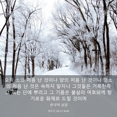 Picture 03 - 민수기 18:17 KOR - 오직 소의 처음 난 것이나 양의 처음 - Bible Verse Picture