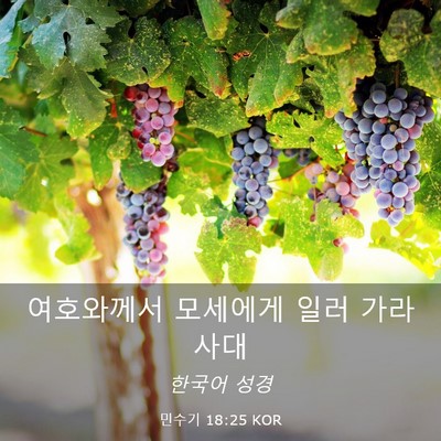 Picture 03 - 민수기 18:25 KOR - 여호와께서 모세에게 일러 - Bible Verse Picture