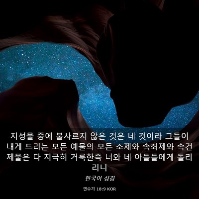 Picture 03 - 민수기 18:9 KOR - 지성물 중에 불사르지 않은 것은 네 - Bible Verse Picture