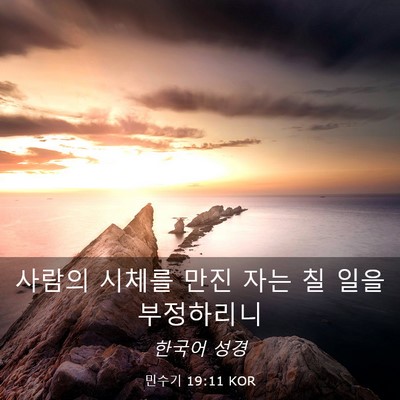 Picture 03 - 민수기 19:11 KOR - 사람의 시체를 만진 자는 칠 일을 - Bible Verse Picture