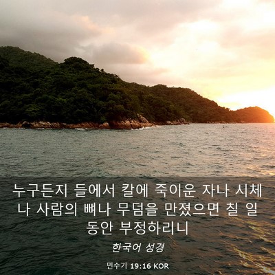 Picture 03 - 민수기 19:16 KOR - 누구든지 들에서 칼에 죽이운 자나 - Bible Verse Picture