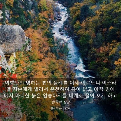 Picture 03 - 민수기 19:2 KOR - 여호와의 명하는 법의 율례를 이제 - Bible Verse Picture