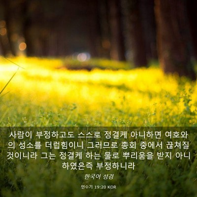 Picture 03 - 민수기 19:20 KOR - 사람이 부정하고도 스스로 정결케 - Bible Verse Picture