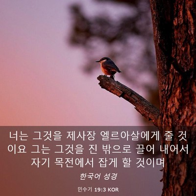 Picture 03 - 민수기 19:3 KOR - 너는 그것을 제사장 엘르아살에게 줄 - Bible Verse Picture