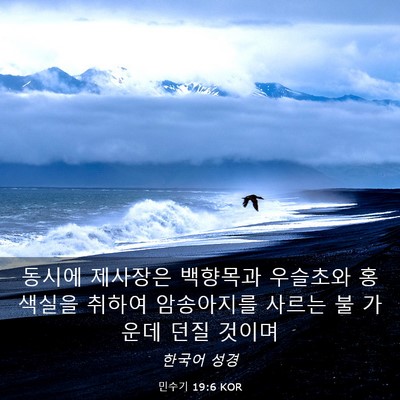 Picture 03 - 민수기 19:6 KOR - 동시에 제사장은 백향목과 우슬초와 - Bible Verse Picture