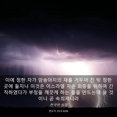 Picture 03 - 민수기 19:9 KOR - 이에 정한 자가 암송아지의 재를 - Bible Verse Picture