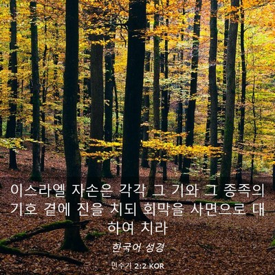 Picture 03 - 민수기 2:2 KOR - 이스라엘 자손은 각각 그 기와 그 - Bible Verse Picture