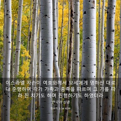 Picture 03 - 민수기 2:34 KOR - 이스라엘 자손이 여호와께서 - Bible Verse Picture