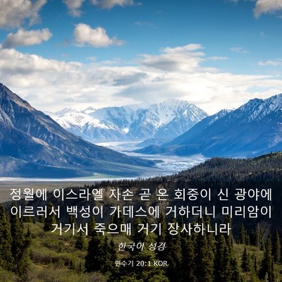 Picture 03 - 민수기 20:1 KOR - 정월에 이스라엘 자손 곧 온 회중이 - Bible Verse Picture