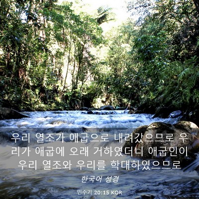 Picture 03 - 민수기 20:15 KOR - 우리 열조가 애굽으로 내려갔으므로 - Bible Verse Picture