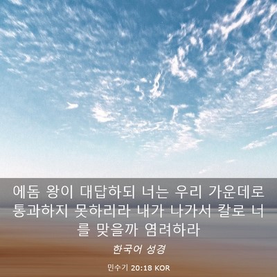 Picture 03 - 민수기 20:18 KOR - 에돔 왕이 대답하되 너는 우리 - Bible Verse Picture