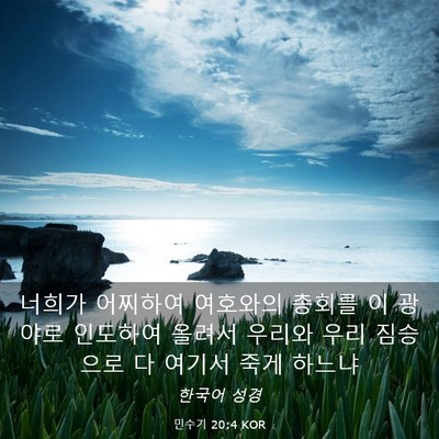 Picture 03 - 민수기 20:4 KOR - 너희가 어찌하여 여호와의 총회를 이 - Bible Verse Picture