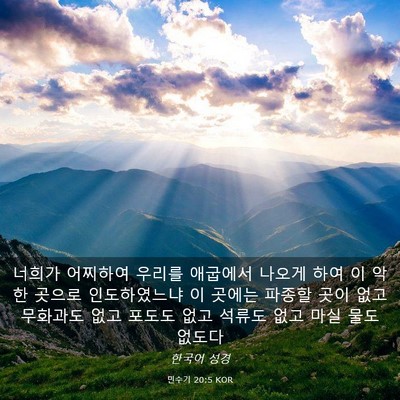 Picture 03 - 민수기 20:5 KOR - 너희가 어찌하여 우리를 애굽에서 - Bible Verse Picture