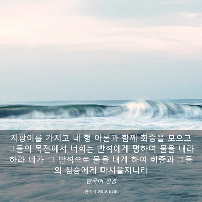 Picture 03 - 민수기 20:8 KOR - 지팡이를 가지고 네 형 아론과 함께 - Bible Verse Picture