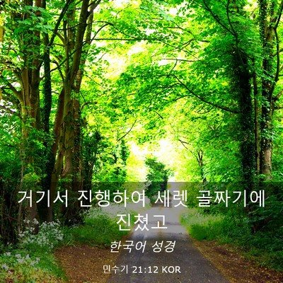 Picture 03 - 민수기 21:12 KOR - 거기서 진행하여 세렛 골짜기에 - Bible Verse Picture