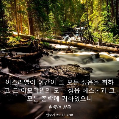 Picture 03 - 민수기 21:25 KOR - 이스라엘이 이같이 그 모든 성읍을 - Bible Verse Picture