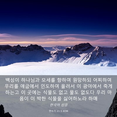 Picture 03 - 민수기 21:5 KOR - 백성이 하나님과 모세를 향하여 - Bible Verse Picture