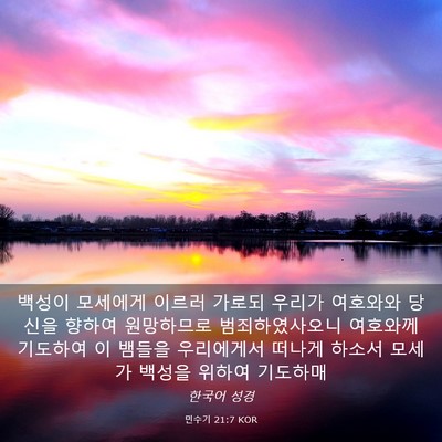 Picture 03 - 민수기 21:7 KOR - 백성이 모세에게 이르러 가로되 - Bible Verse Picture