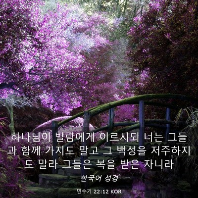 Picture 03 - 민수기 22:12 KOR - 하나님이 발람에게 이르시되 너는 - Bible Verse Picture