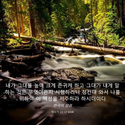 Picture 03 - 민수기 22:17 KOR - 내가 그대를 높여 크게 존귀케 하고 - Bible Verse Picture