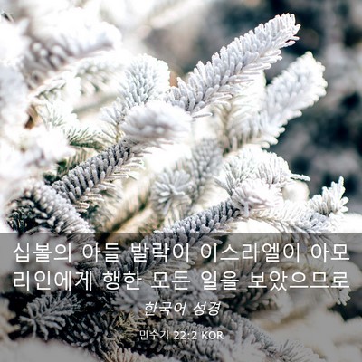 Picture 03 - 민수기 22:2 KOR - 십볼의 아들 발락이 이스라엘이 - Bible Verse Picture