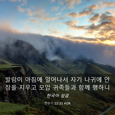 Picture 03 - 민수기 22:21 KOR - 발람이 아침에 일어나서 자기 나귀에 - Bible Verse Picture