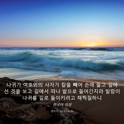 Picture 03 - 민수기 22:23 KOR - 나귀가 여호와의 사자가 칼을 빼어 - Bible Verse Picture