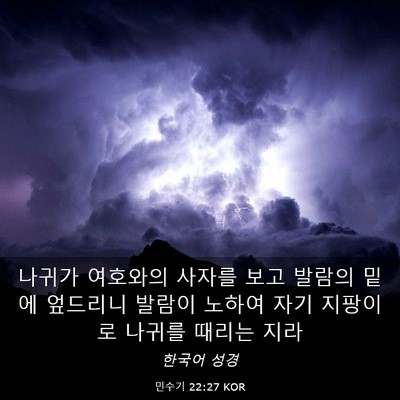 Picture 03 - 민수기 22:27 KOR - 나귀가 여호와의 사자를 보고 발람의 - Bible Verse Picture