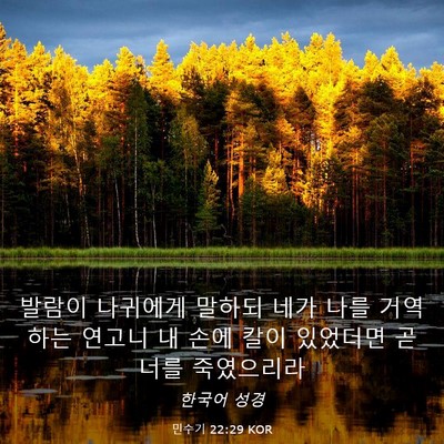 Picture 03 - 민수기 22:29 KOR - 발람이 나귀에게 말하되 네가 나를 - Bible Verse Picture