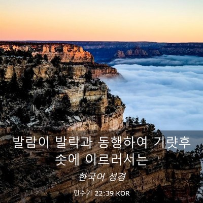 Picture 03 - 민수기 22:39 KOR - 발람이 발락과 동행하여 기럇후솟에 - Bible Verse Picture