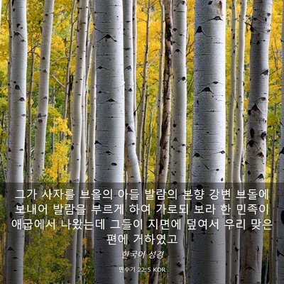 Picture 03 - 민수기 22:5 KOR - 그가 사자를 브올의 아들 발람의 - Bible Verse Picture