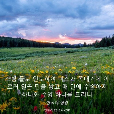 Picture 03 - 민수기 23:14 KOR - 소빔 들로 인도하여 비스가 꼭대기에 - Bible Verse Picture