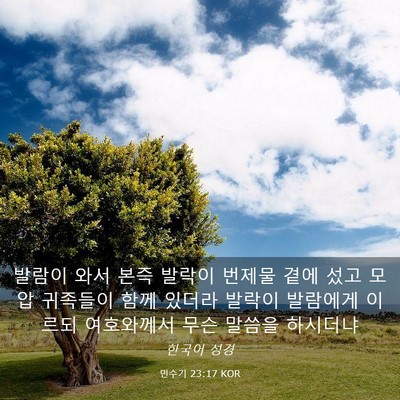 Picture 03 - 민수기 23:17 KOR - 발람이 와서 본즉 발락이 번제물 - Bible Verse Picture