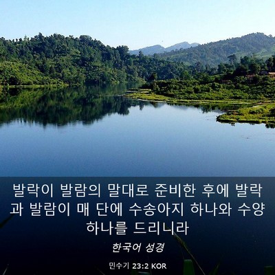 Picture 03 - 민수기 23:2 KOR - 발락이 발람의 말대로 준비한 후에 - Bible Verse Picture