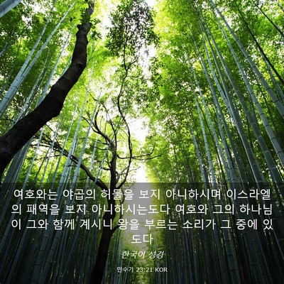Picture 03 - 민수기 23:21 KOR - 여호와는 야곱의 허물을 보지 - Bible Verse Picture