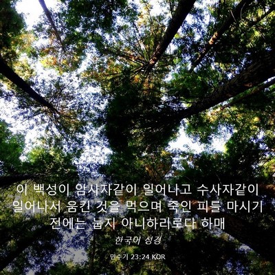Picture 03 - 민수기 23:24 KOR - 이 백성이 암사자같이 일어나고 - Bible Verse Picture