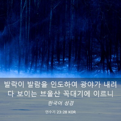 Picture 03 - 민수기 23:28 KOR - 발락이 발람을 인도하여 광야가 - Bible Verse Picture