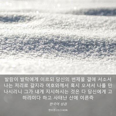 Picture 03 - 민수기 23:3 KOR - 발람이 발락에게 이르되 당신의 - Bible Verse Picture