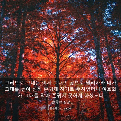 Picture 03 - 민수기 24:11 KOR - 그러므로 그대는 이제 그대의 곳으로 - Bible Verse Picture