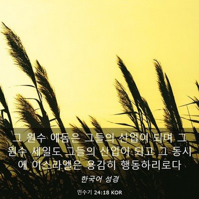 Picture 03 - 민수기 24:18 KOR - 그 원수 에돔은 그들의 산업이 되며 - Bible Verse Picture