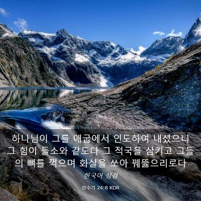 Picture 03 - 민수기 24:8 KOR - 하나님이 그를 애굽에서 인도하여 - Bible Verse Picture