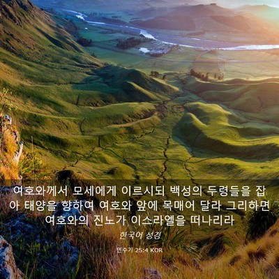 Picture 03 - 민수기 25:4 KOR - 여호와께서 모세에게 이르시되 - Bible Verse Picture