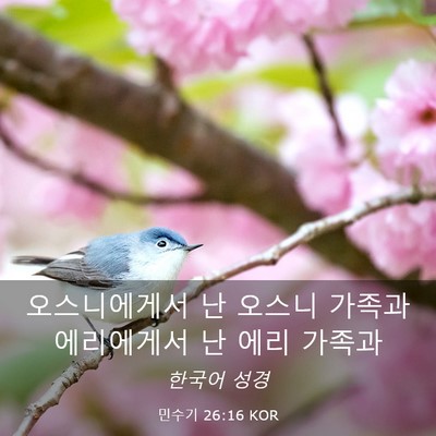 Picture 03 - 민수기 26:16 KOR - 오스니에게서 난 오스니 가족과 - Bible Verse Picture
