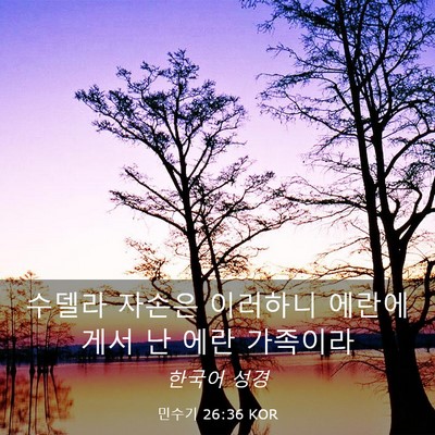 Picture 03 - 민수기 26:36 KOR - 수델라 자손은 이러하니 에란에게서 - Bible Verse Picture